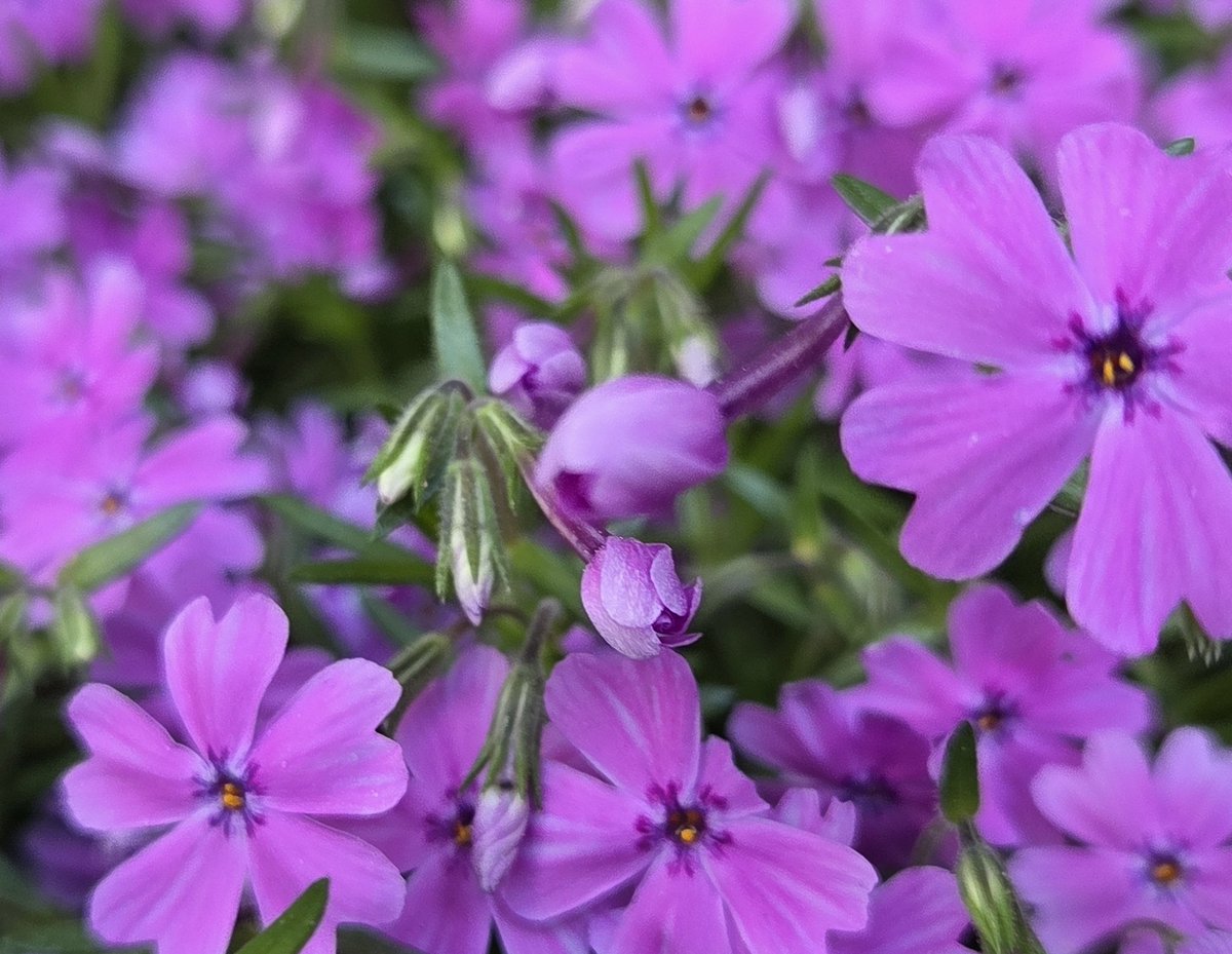 여유의소유 tweet media