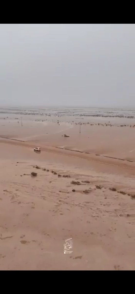 مكهرب الاسهم tweet media