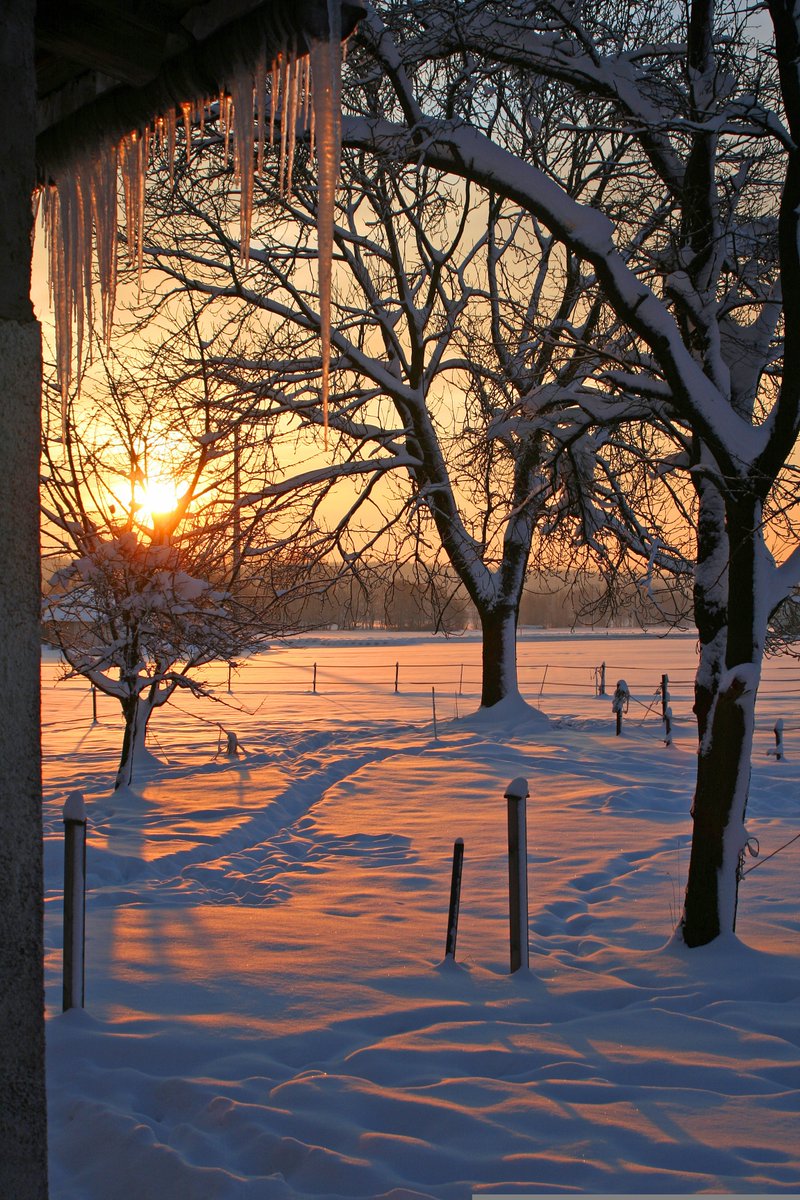 purenature_1's tweet image. Serene winter sunrise ☀️❄️ #sunset