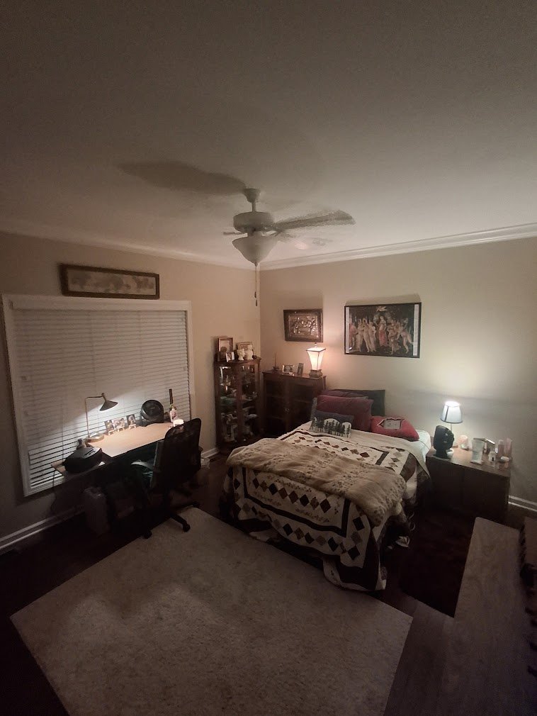 Birdie 🐦 tweet media