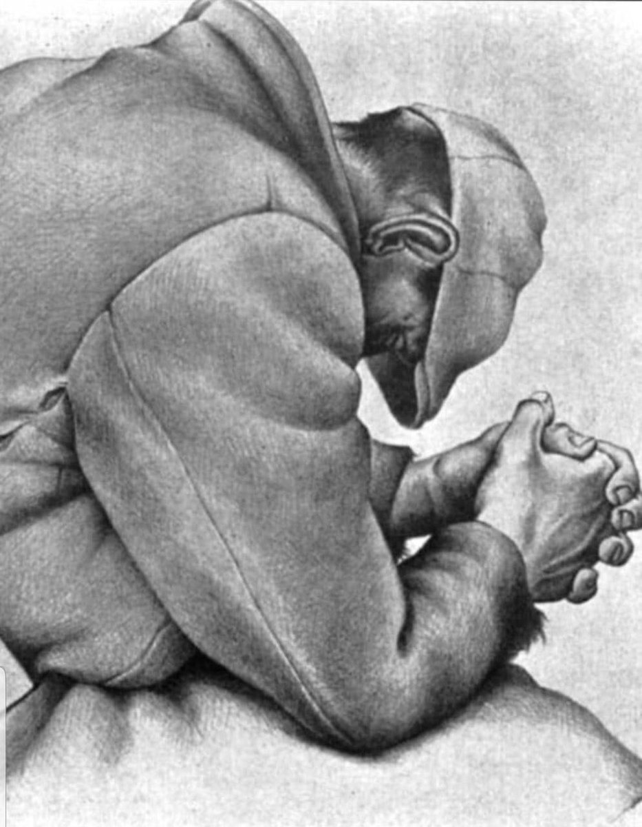 Arnold😷 tweet media