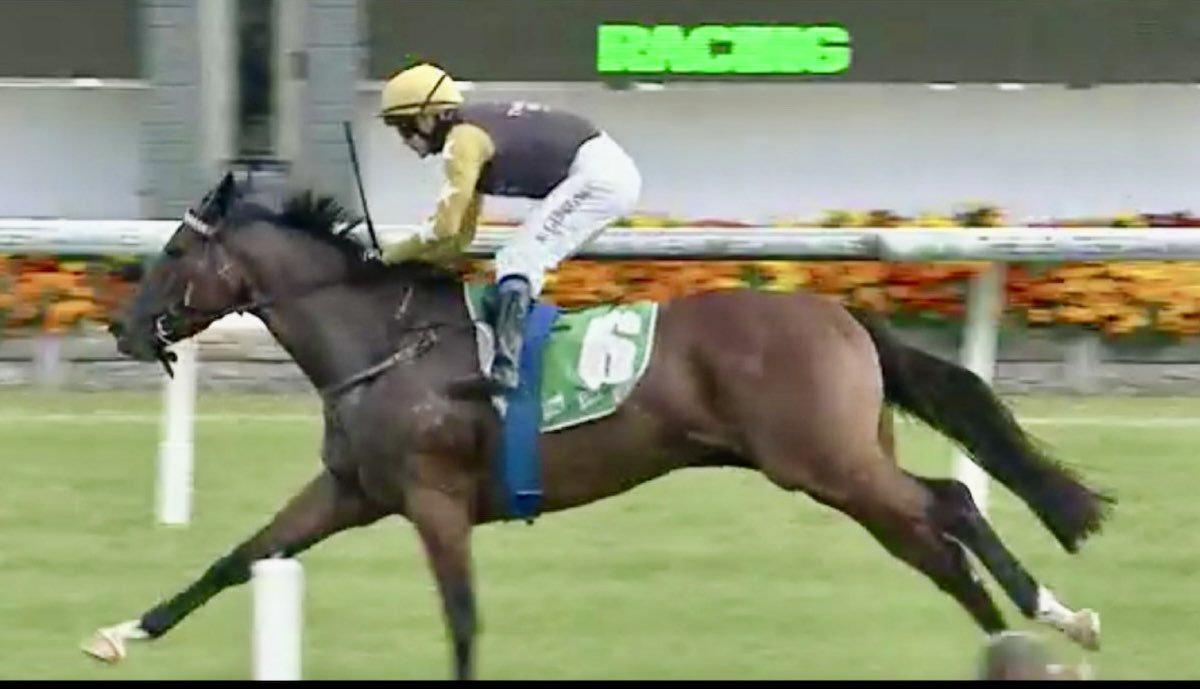 kimwaugh6's tweet image. Stellaa Lass goes 1 better at just her 2nd race start winning the 60k 1000m Super Maid today @gosford_races with a 🍑 from @gibbo7822 Congrats to @TTRSyndications &amp;amp; owners 👏👏👏#welldoneteam 🥳👌🏇🏇
