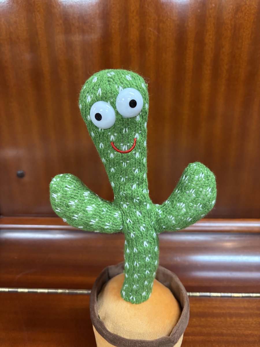 準備運動の時、私の相棒になってくれたサボテンさん♡

盛り上げてくれてありがと♪
#初めての社交ダンス0425