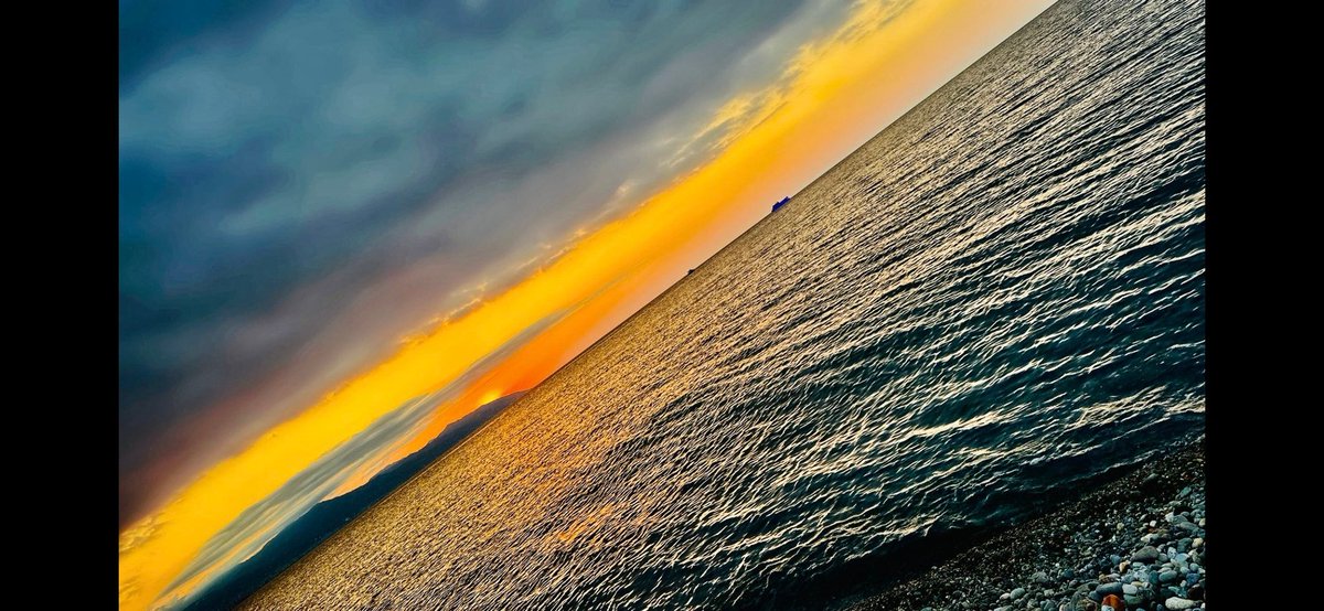 @BEYAZKUGU tweet media