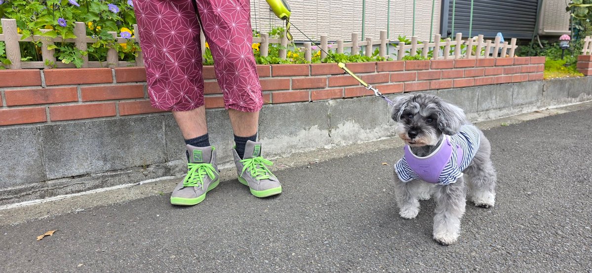 ともこ tweet media