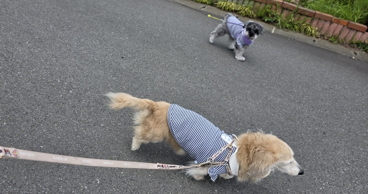 ともこ tweet media