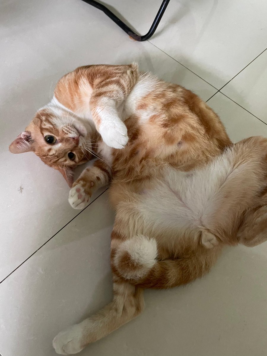 nanna 🍁 tweet media