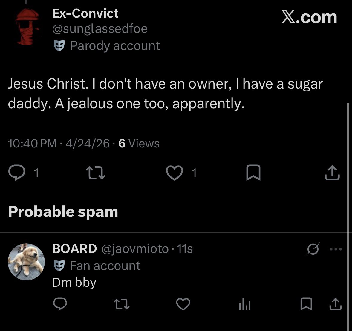 Ex-Convict (@sunglassedfoe) / Posts / X