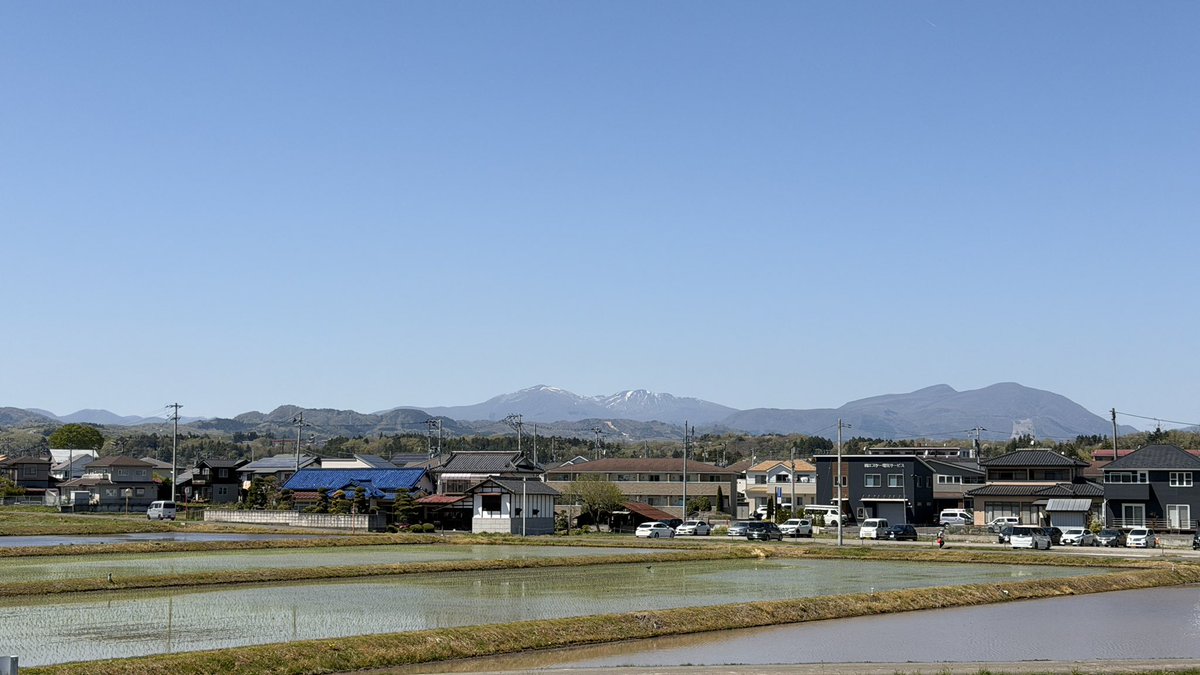 Tsutsugo tweet media