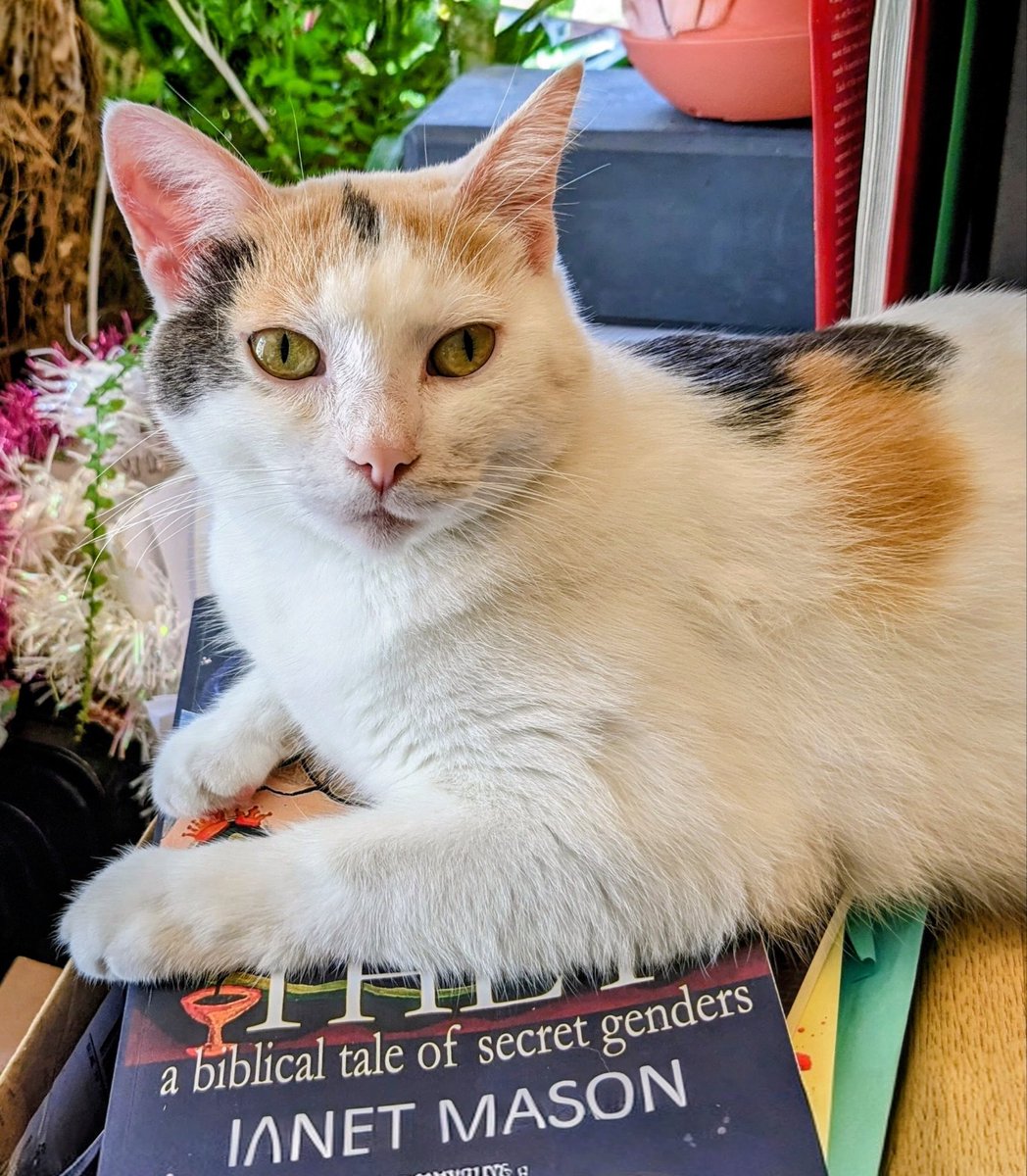 amusejanetmason's tweet image. Cats and Nuns in The Unicorn, The Mystery -- #cats #WomensHistoryMonth2026 #amreading
“When you love someone or … something … you are relentless with your love.” #lesfic
wix.to/U55UAYT