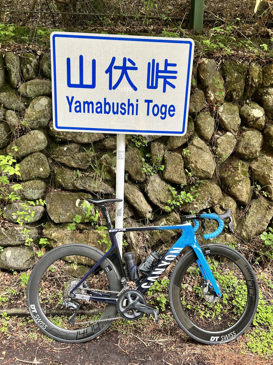 SAKAE tweet media