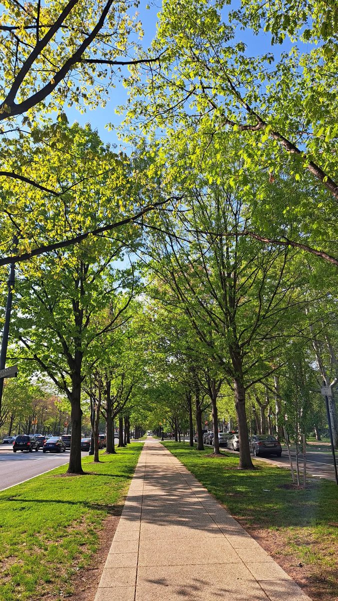 Filadelfija pre neki dan. Divne prolećne slike. Ukrao od žene, mene mrzelo da se šetam.