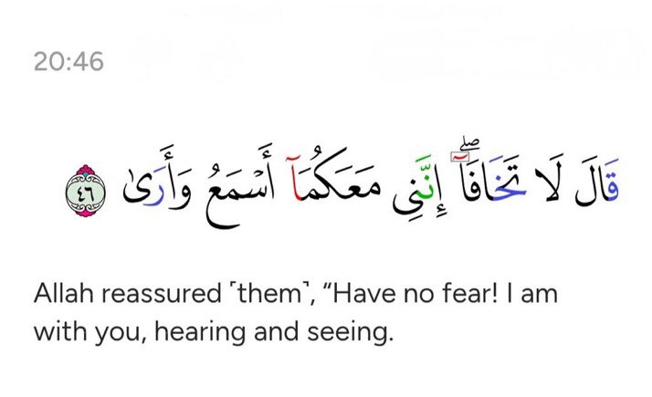 Muslim Hub tweet media