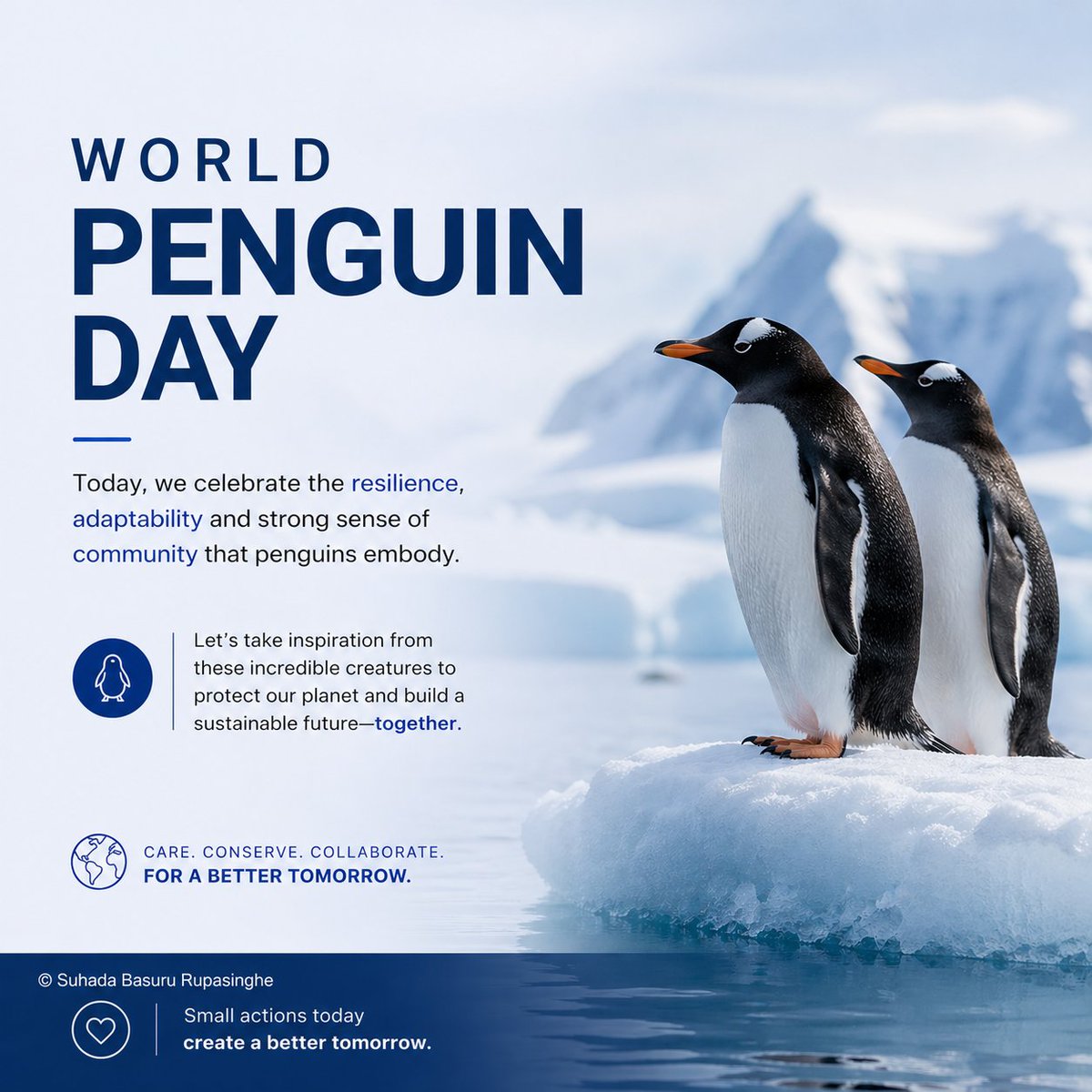 bhaasu_360's tweet image. World Penguin Day🐧🌍

A reminder that resilience, adaptability, and teamwork can thrive even in the harshest conditions.

Let’s take inspiration from nature and turn small actions into meaningful impact for a sustainable future.

#WorldPenguinDay #Sustainability #ClimateAction