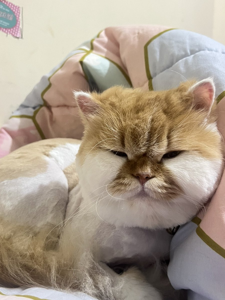 eca 🍒 tweet media