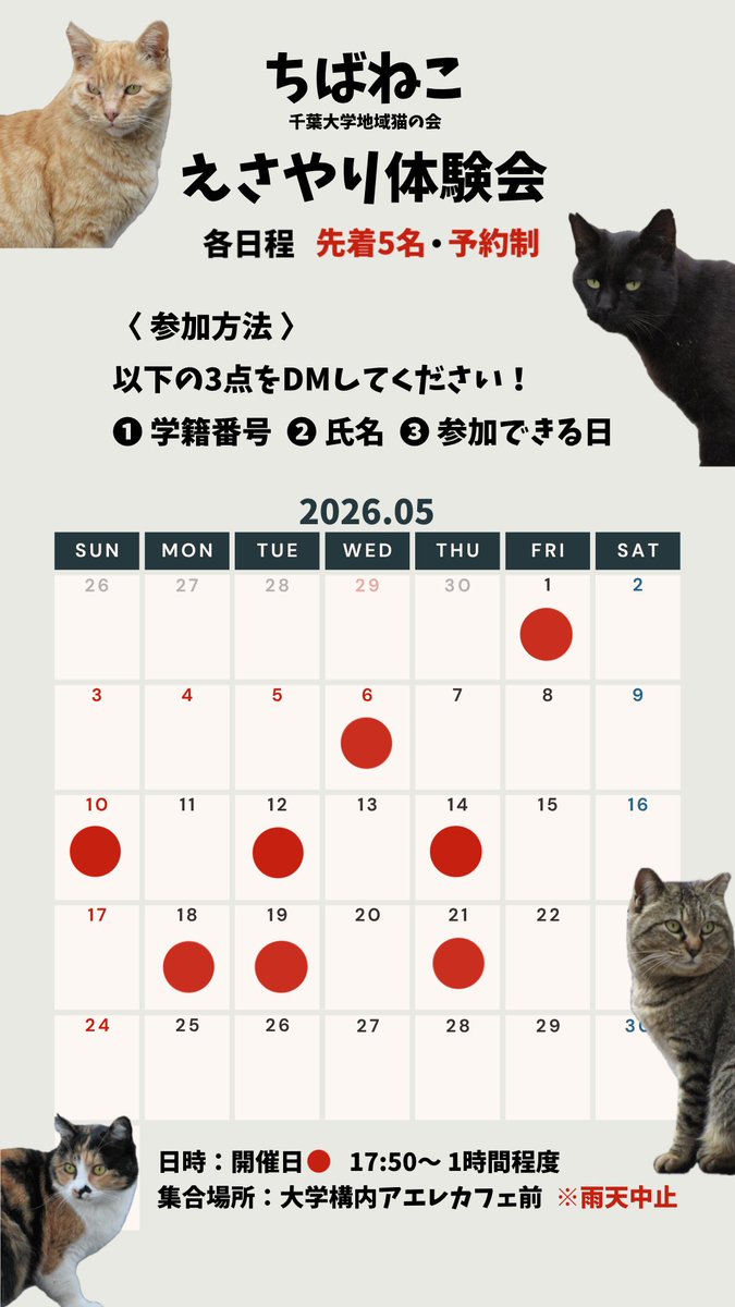 5月えさやり体験会の募集を開始しました！
DMお待ちしております🐈‍⬛
