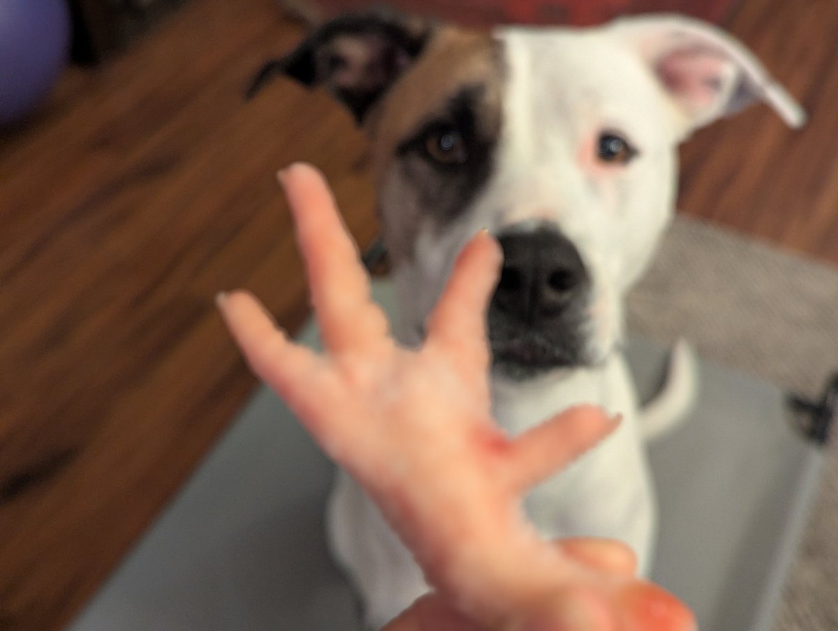 Eriko Sakaki tweet media