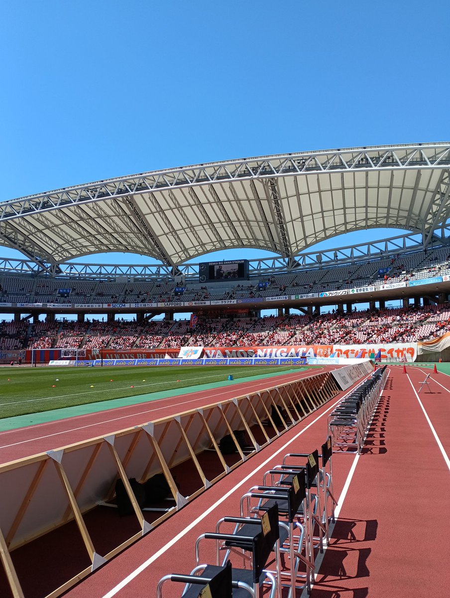 きのこ tweet media