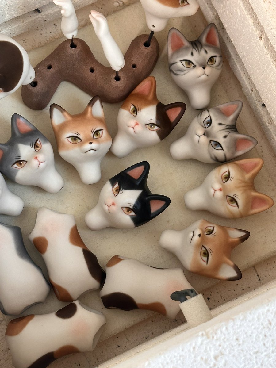 🍄cocoroico🍄 tweet media