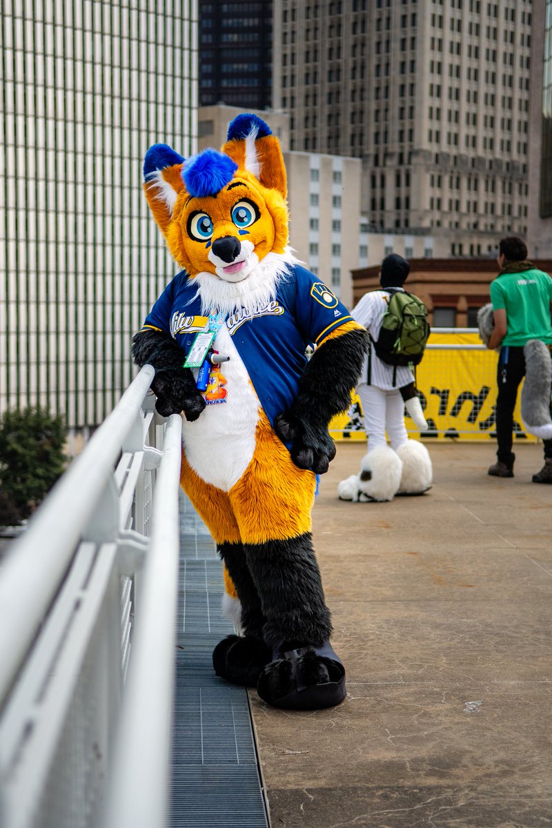 AeroFox🦊 tweet media