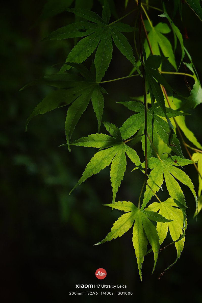 nogu_0127's tweet image. 🌿.∘

#Xiaomi × #Leica
#Xiaomi17UltrabyLeica