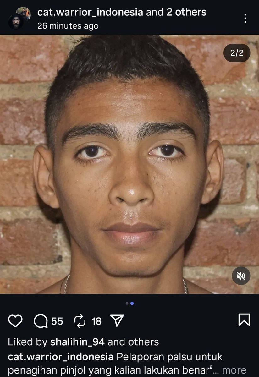 hot cocoa tweet media