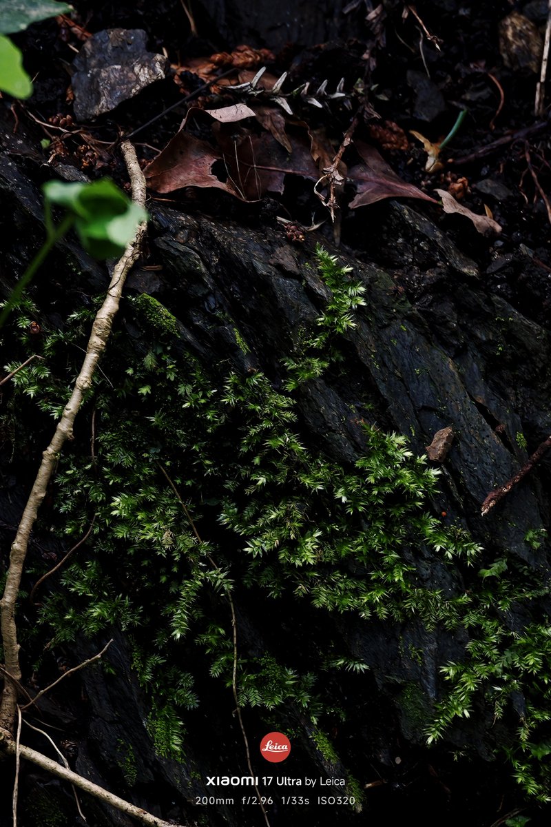 nogu_0127's tweet image. 🌱🌿.∘

#Xiaomi × #Leica
#Xiaomi17UltrabyLeica