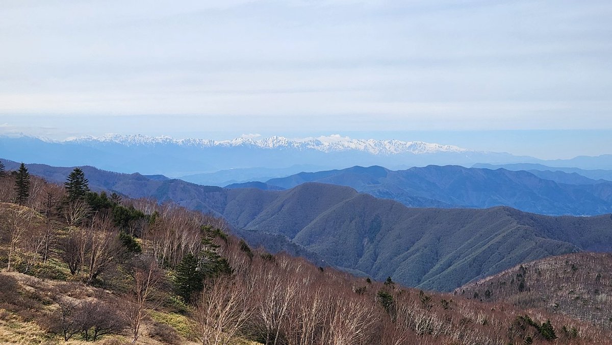 みどり tweet media