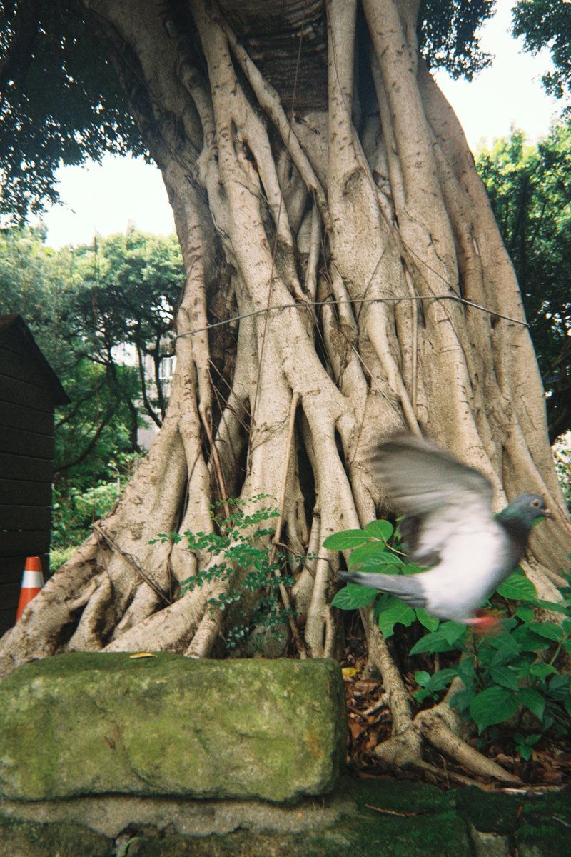 いがりなつみ tweet media