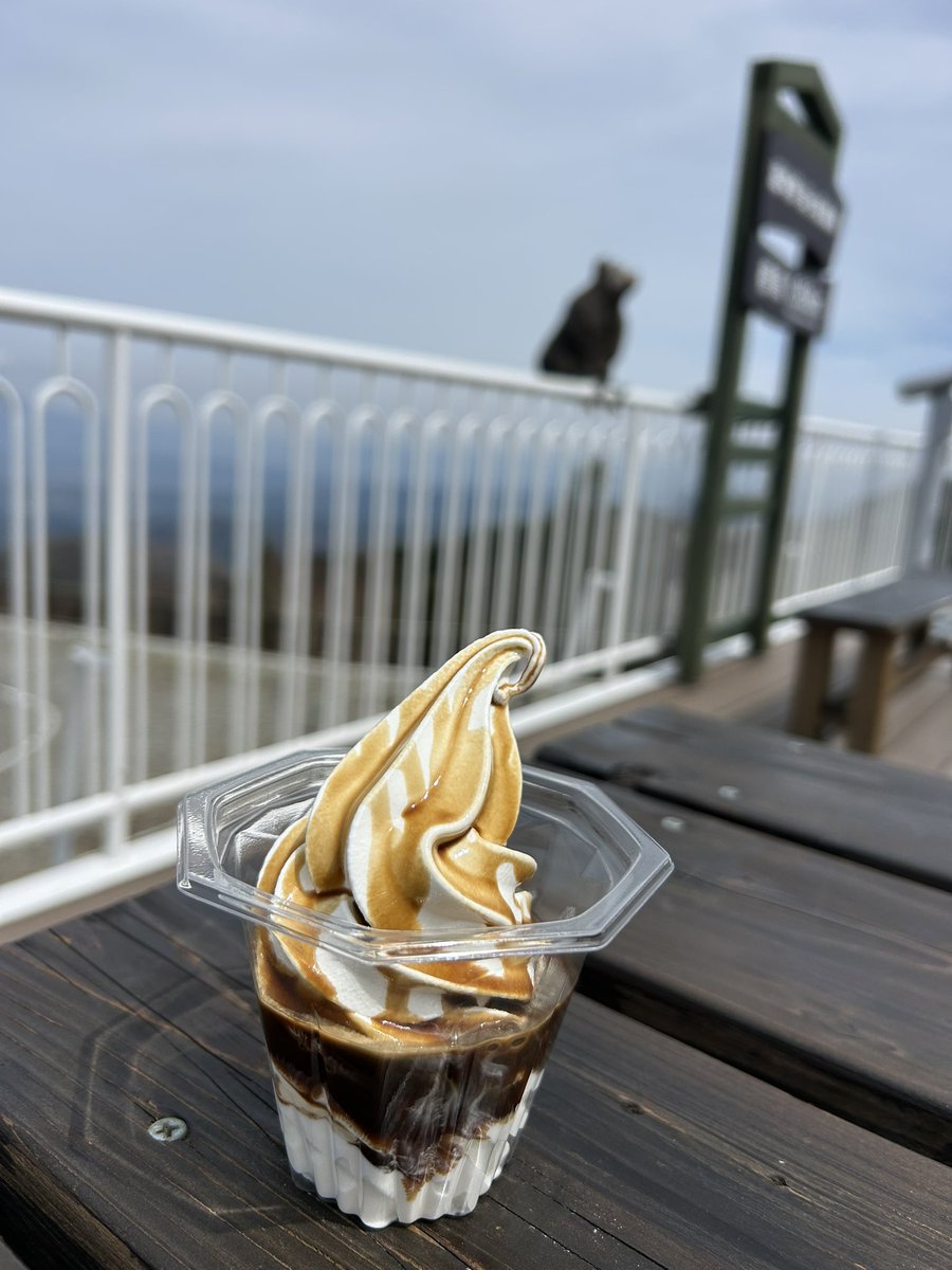 RoaD_SteR_NA's tweet image. 今日のビーナスラインは3日前よりロードスター多くて嬉しい！！！
 #ロードスター #NA  #ビーナスライン #富士山
で、同じ場所での写真 笑
ビーナスラインと富士山とロド