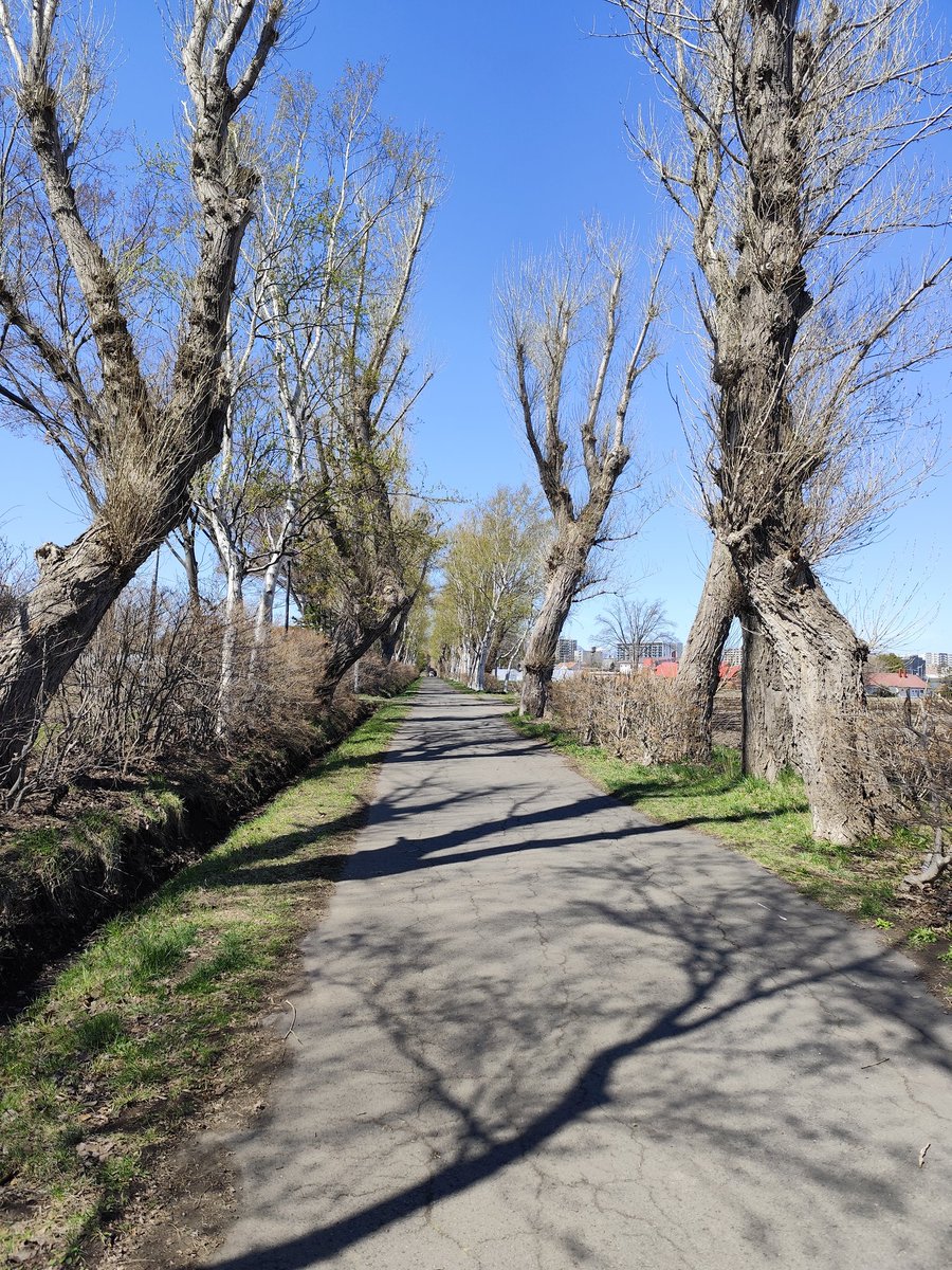 freeezomusic's tweet photo. やっとチャリンポできた🚲️やや肌寒いものの、風もなく陽当たりは暖かくて最高。いつもの13ROCKまで小一時間の散歩。コーヒー一服してまてノンビリ帰ってきました。外でジンギスカンでもしたいところだね。ps.13さん、自分の缶コーヒー忘れました💧スミマセン。#札幌　#チャリンポ　#13ROCK #自転車 https://t.co/CUwmcLSQAV