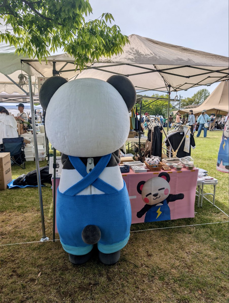 ひよっち🐥 tweet media