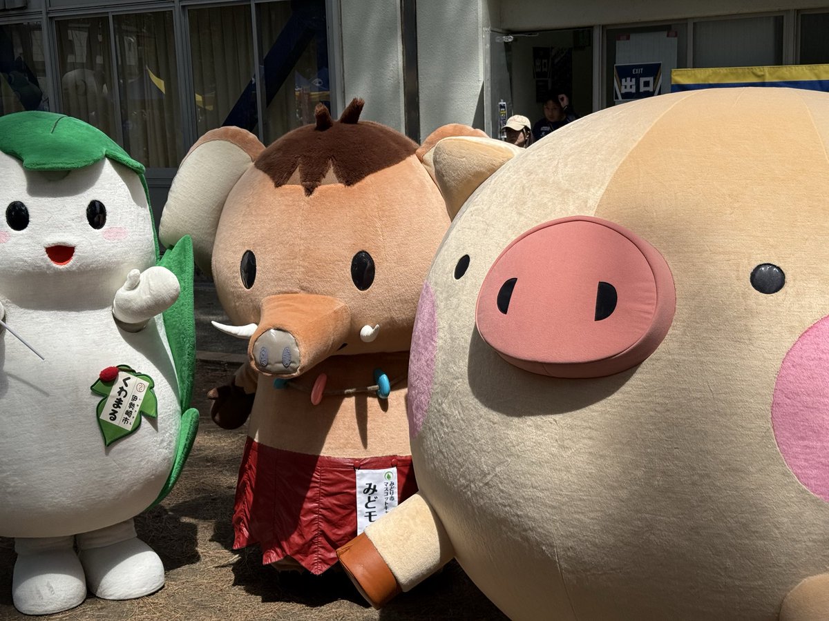 k31098k's tweet photo. ザスパっしゃ！
#前橋市　#ザスパ群馬 https://t.co/QhkoBnixs3