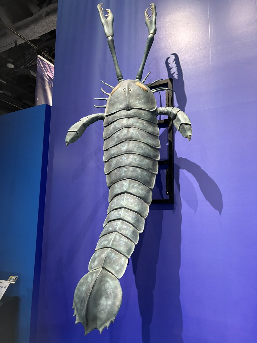 科学館の大絶滅展行ってきた🦕

ウルトラマンのムカデに似てる