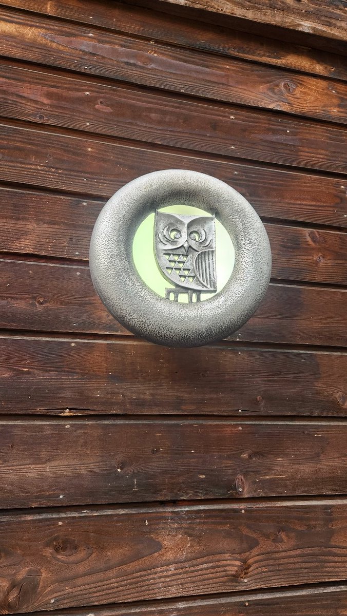 みどり tweet media