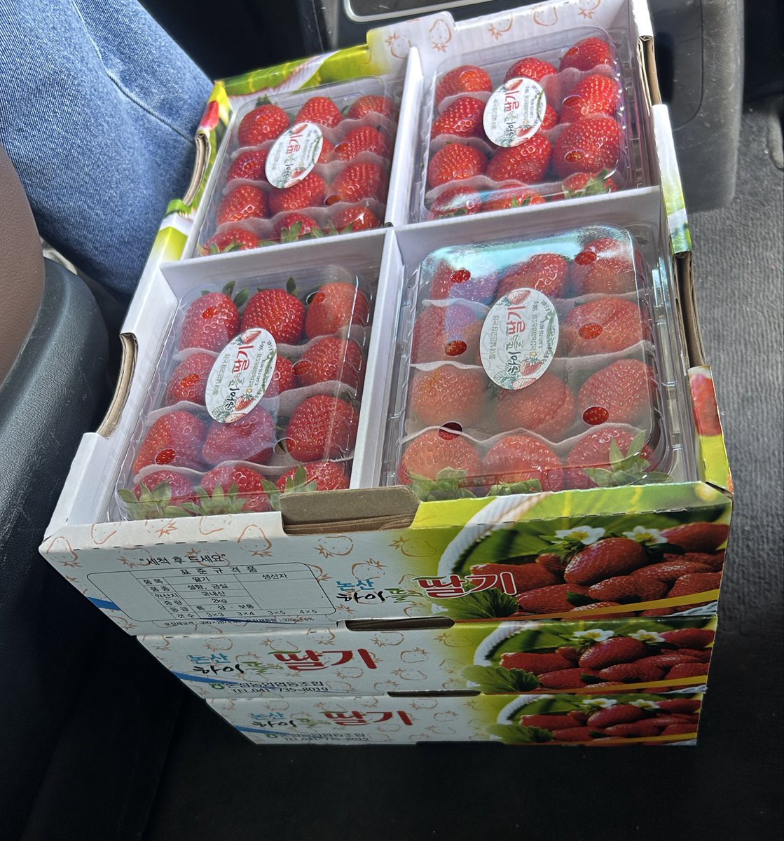 민주노총 전북본부 tweet media