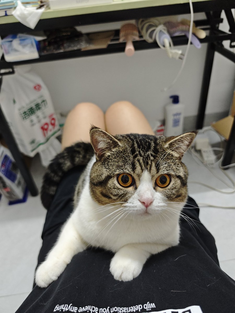 CYLDMW's tweet photo. 非常不充实的一天 https://t.co/yeoIbWW0nT