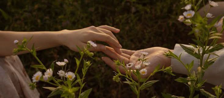 𝒎𝑶𝑶𝒏 🌓 tweet media