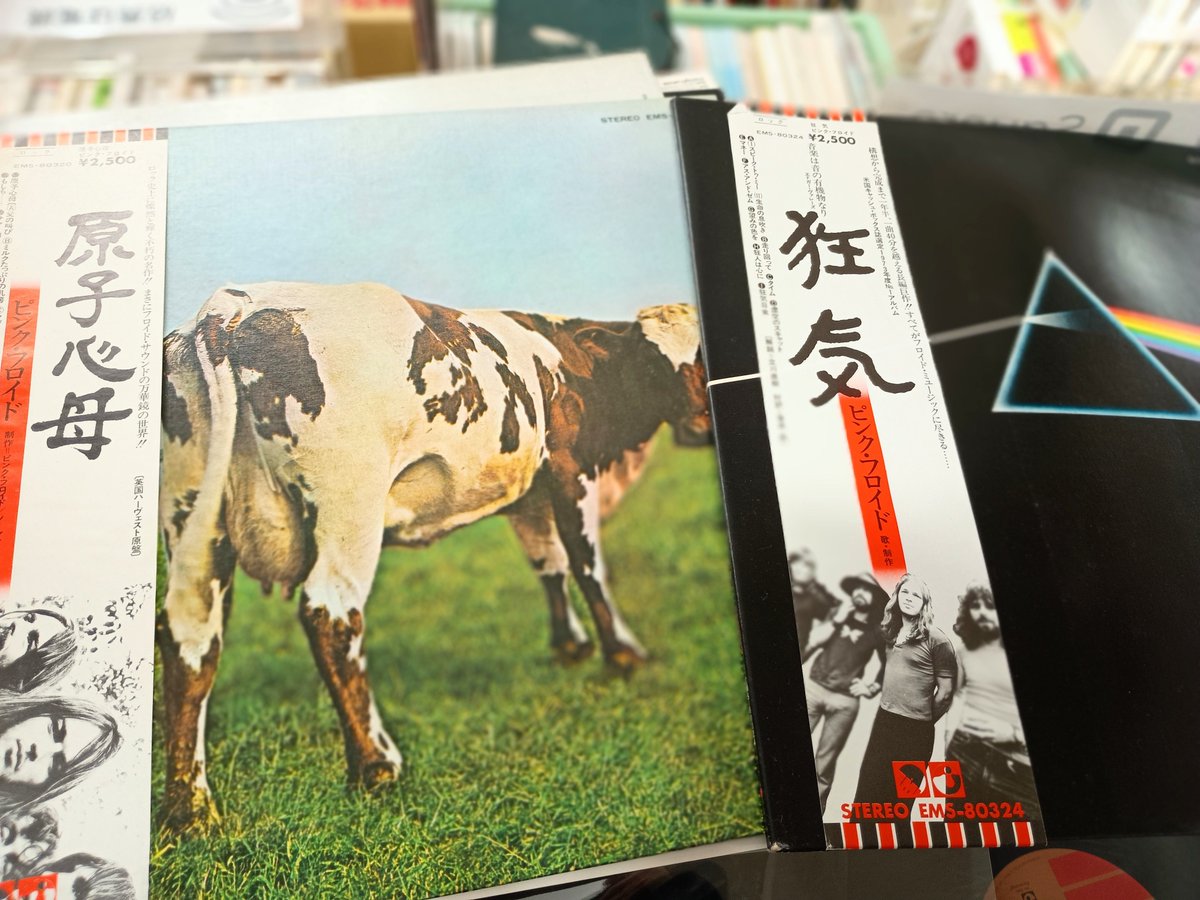 beaversbooks's tweet image. 4/25土曜日。札幌は晴れ。気持ちの良い天気ですね。白石区は本郷通の古本屋ビーバーズブックス、開いてます。19時までよろしくどうぞ。

ピンク・フロイドなどレコード少し買いました。これから出しますね。

#PINKFLOYD
#中古レコード
#SAPPORO
#レコード買取
#古書店