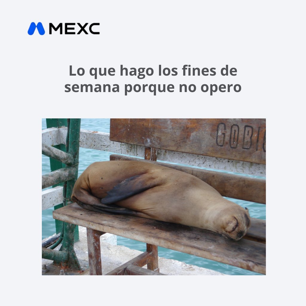 Siempre hay que alejarse del mercado los fines de semana jaja