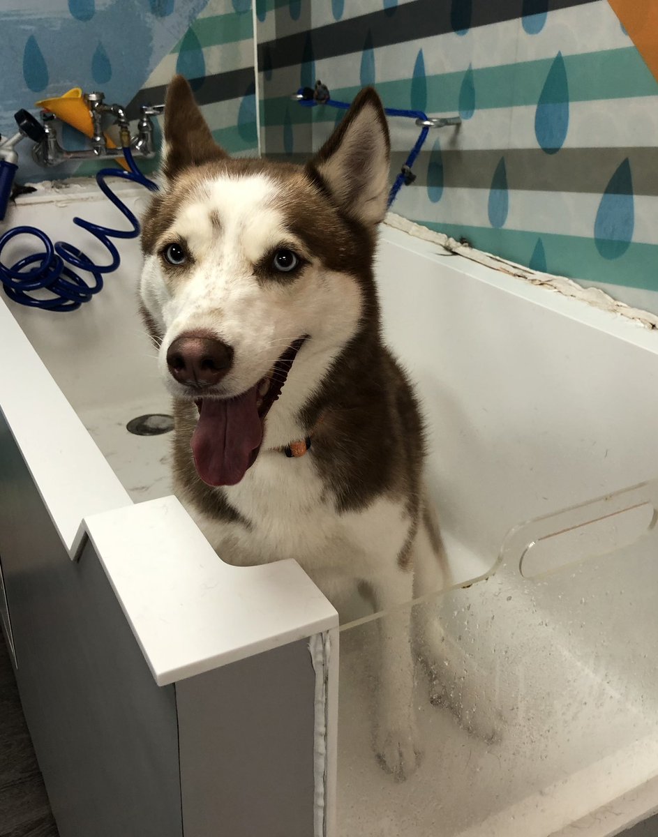 Rhay Munsayac tweet media