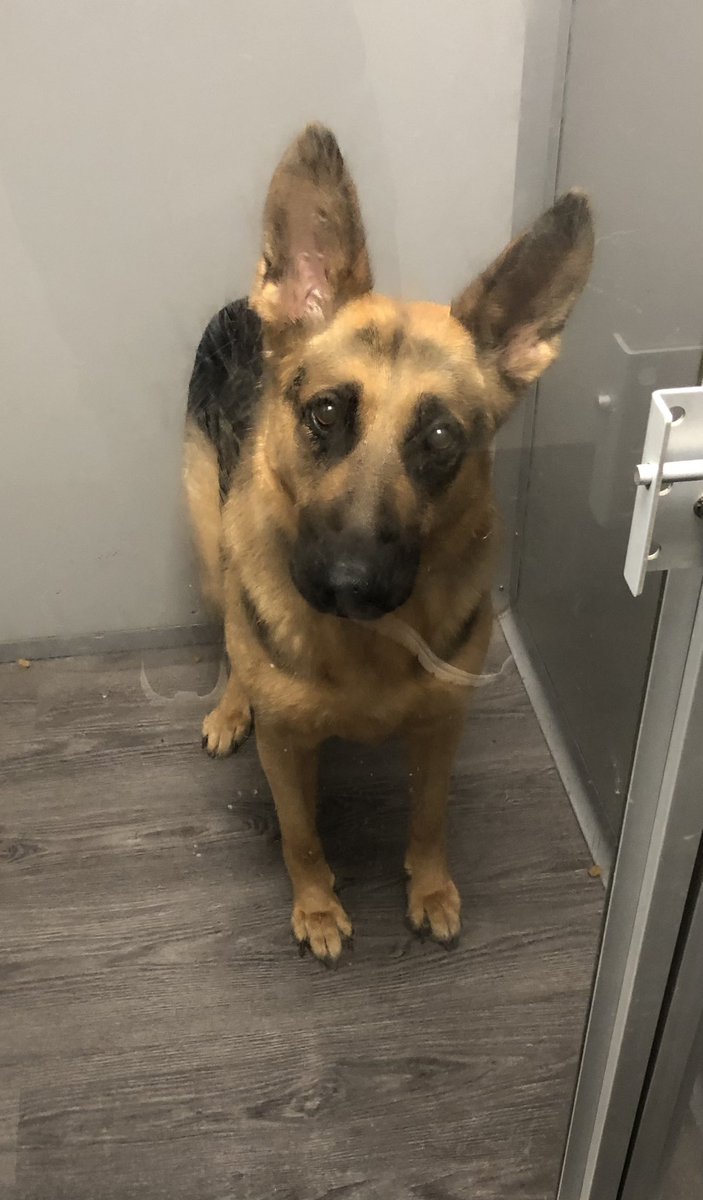 Rhay Munsayac tweet media