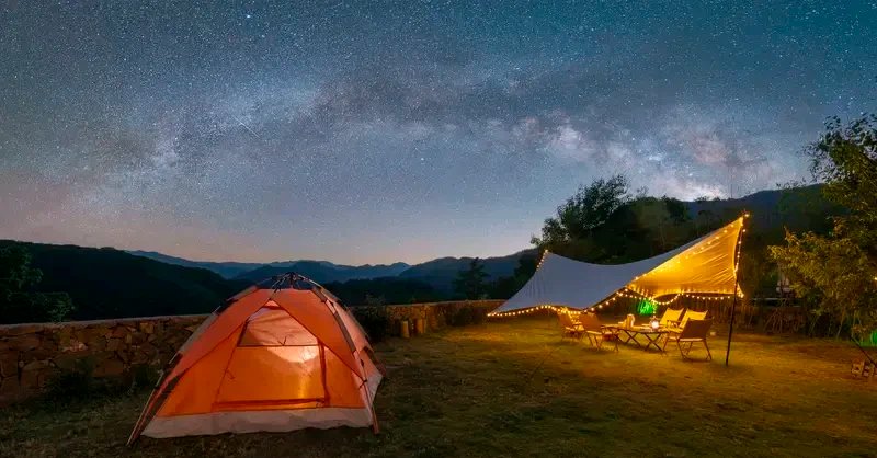 desmet thomas kolara tweet media