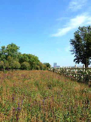 BeingWifeandMother tweet media