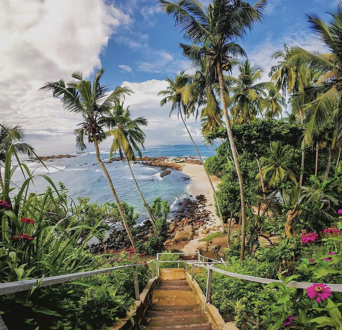 Rattan Dhillon tweet media