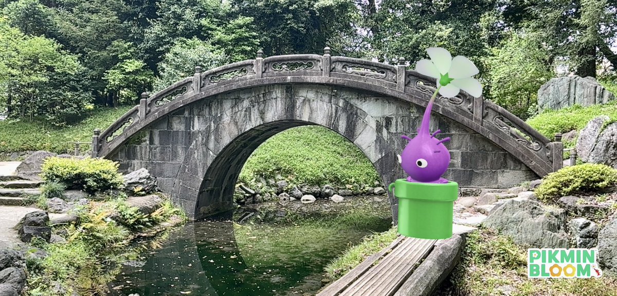 kanoko55pik's tweet image. #紫ピク土管の旅 

📍小石川後楽園　円月橋

#ピクミンブルーム #PikminBloom 

これからは出かけた先で
『土管はここに繋がっていた！』って遊びをしようと思う😁
紫ピク、色んな場所に行けそうだね