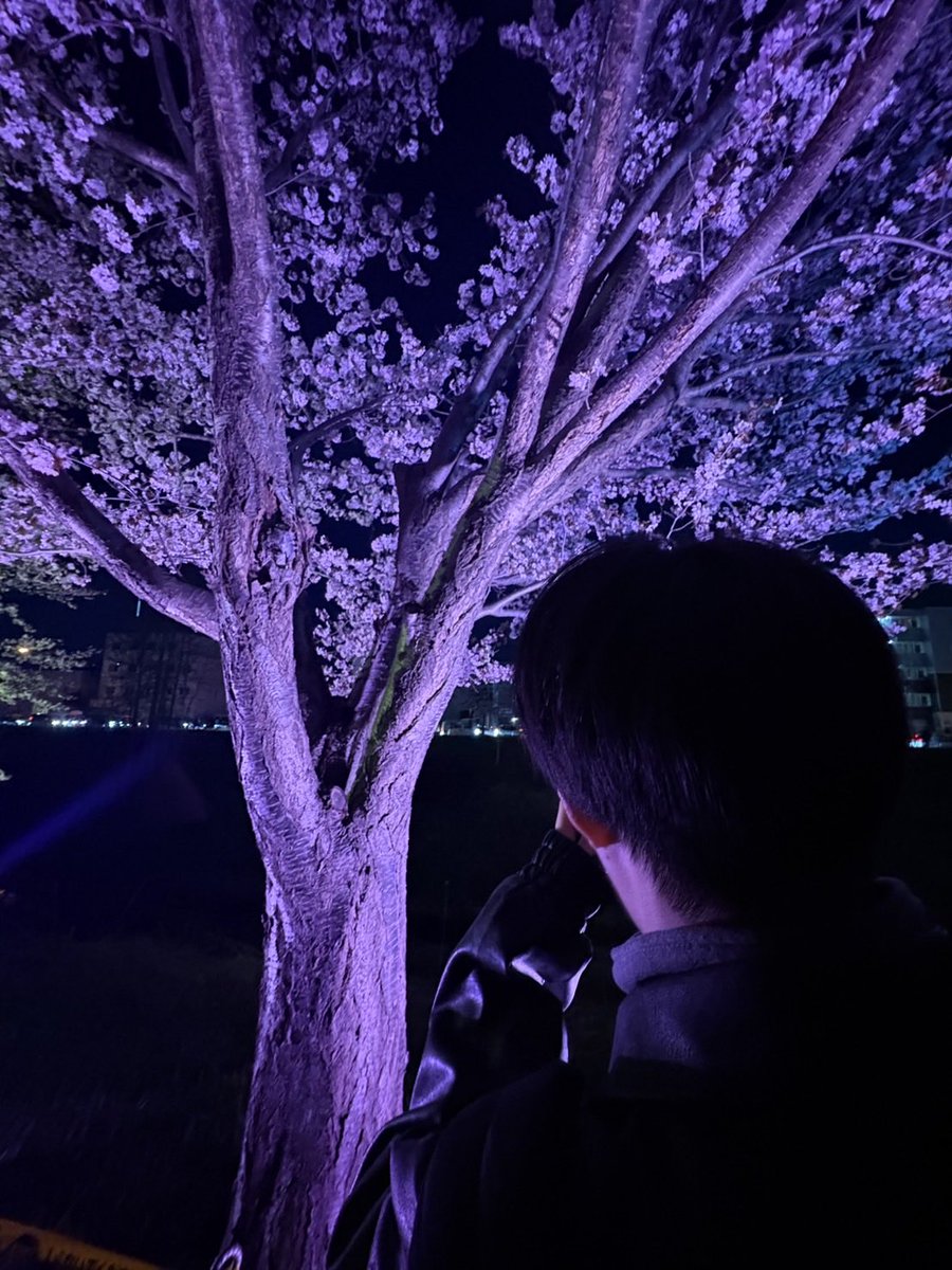 Rmmmn15's tweet photo. 彼女と一緒に夜桜見に行った🎶🌸
#セクマイカップルさんと繋がりたい https://t.co/oYootdANyN