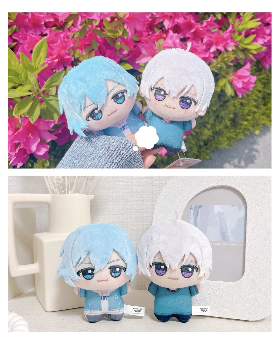 ぽぽこ tweet media