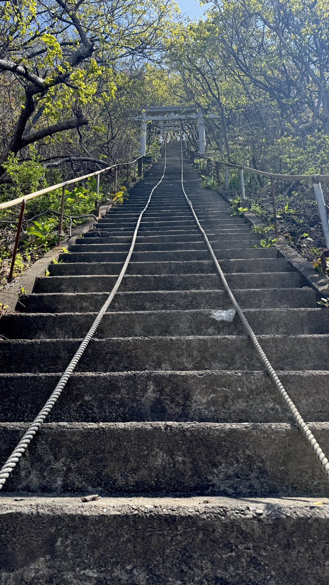 パパブサ tweet media