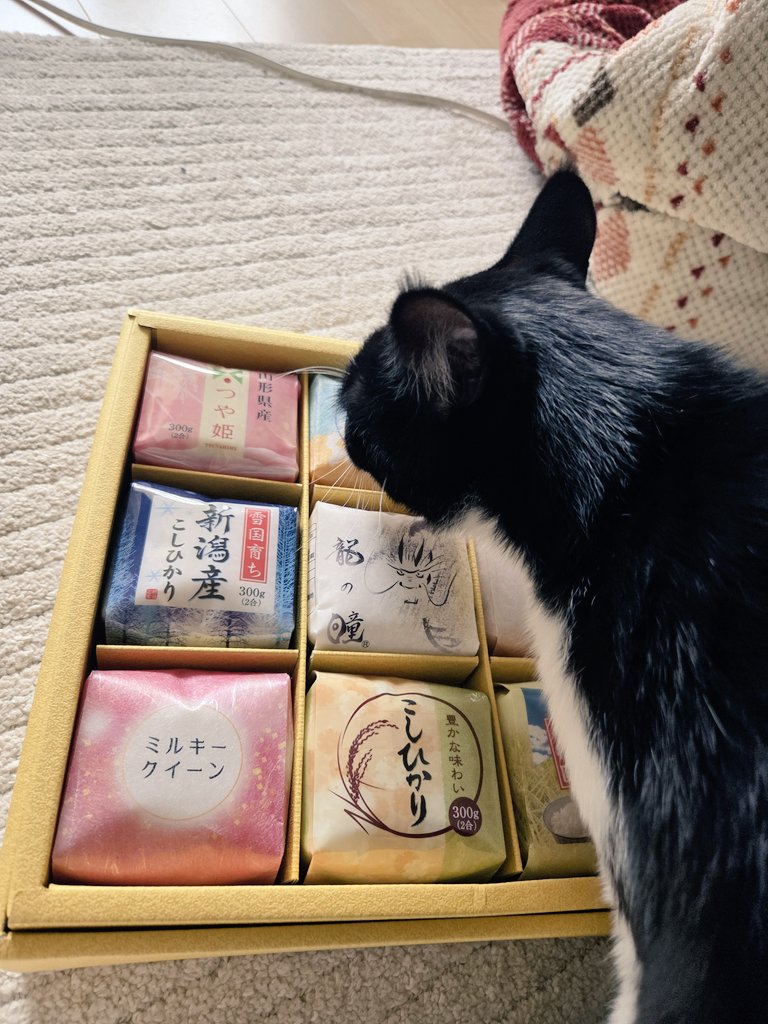 筋 tweet media